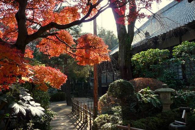 中院