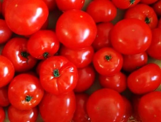 �����̃g�}�g

�����I�ɐ������ꂽ����