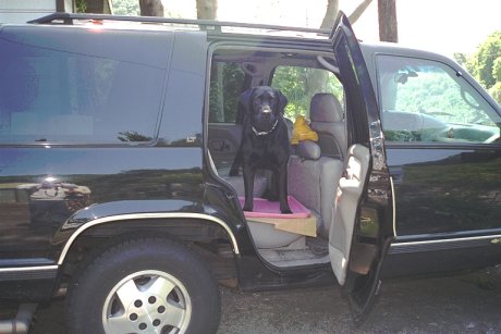 ��������Ă�I