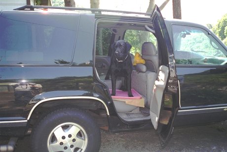 ��������Ă�����I�I