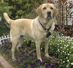 ����̒��Ńv�[���N