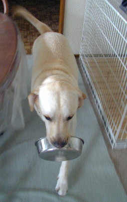 �Ɨ��ƕ��H