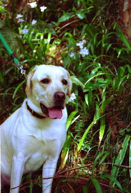 ���N�͎R�փ^�P�m�R���@��ɍs���܂����B