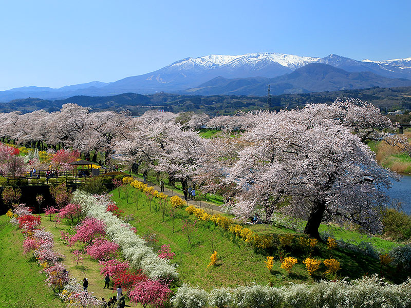 ���ΐ��E��ڐ�{��