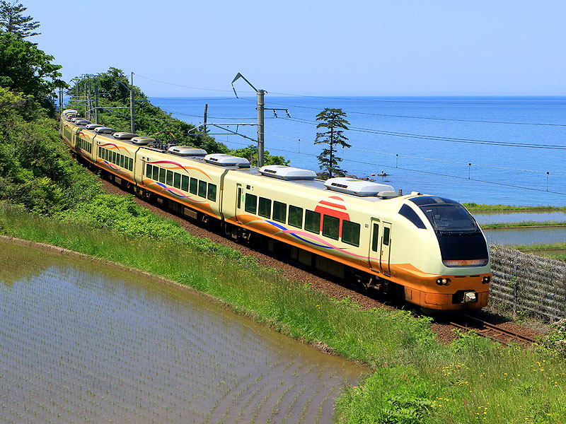 鉄道写真集 ｊｒ東日本 特急型車両