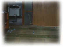 living.jpg (16037 �o�C�g)