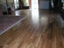 P5030002.jpg (454353 �o�C�g)