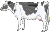 cow