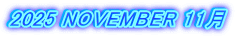 2025 NOVEMBER 11