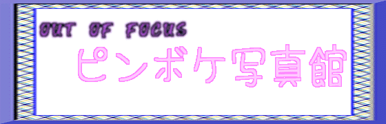 意表をつく攻撃を得意とする美写真探究家