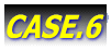 CASE.6