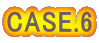 CASE.6