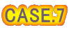CASE.7