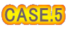 CASE.5