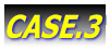 CASE.3