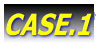 CASE.1