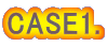CASE1.