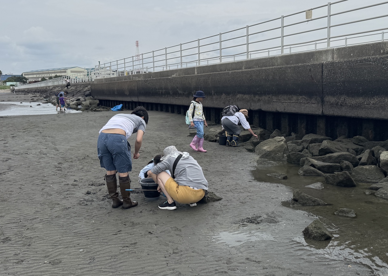 三番瀬の画像