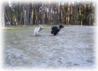 �h�b�O�����P