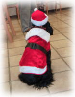 ���p���L���[�g