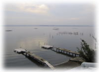 �l���΂̌i�F