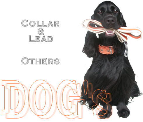 HOBBY Dog's