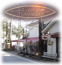 ���X�̑S�i