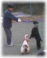 ����̓e�j�X�H