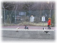 �e�j�X�Ȃ񂾂�ˁH