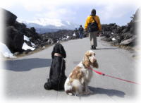 ������ρ`�I