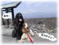 �o�e�o�e�ł���