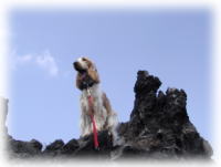 �����`�I