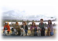 ��ԎR���o�b�N��