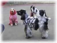 �����I�x�K������