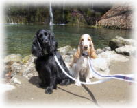 �����̑���o�b�N��