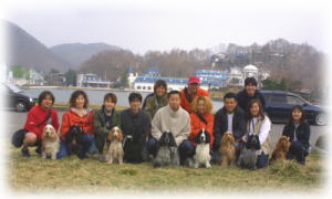 �΂��o�b�N��