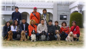 ����H���o�b�N��