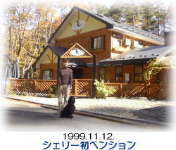 ���y���V����