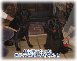 �~���N�����