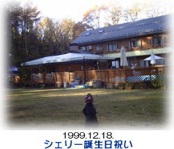 �h�b�O����