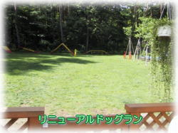 �h�b�O����