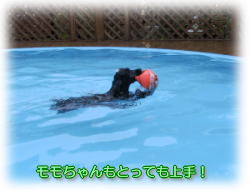 �X�C�}�[����