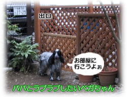 �x�K�����