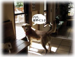 �͂₭�͂₭�I