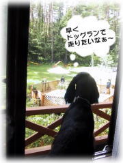 �҂�������