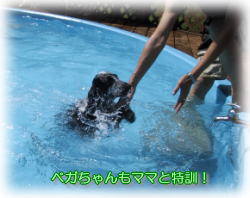 �x�K������