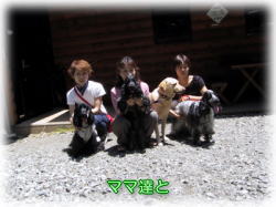 �}�}������