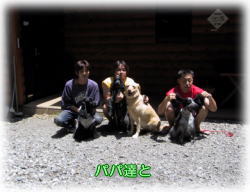 �p�p������