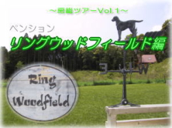 �����O�E�b�h�t�B�[���h