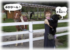 ���n����ƃV�F���[